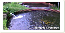 Tanques Circulares