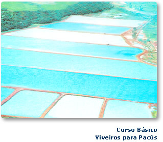 Curso básico - Viveiros